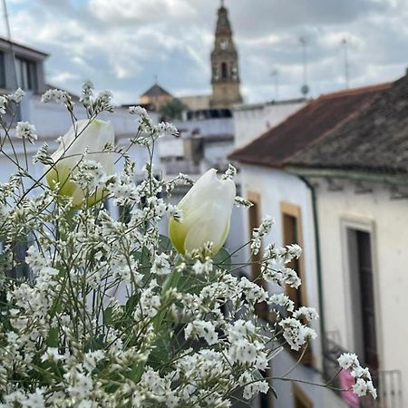 El Balcon De La Torre Leilighet Córdoba Eksteriør bilde
