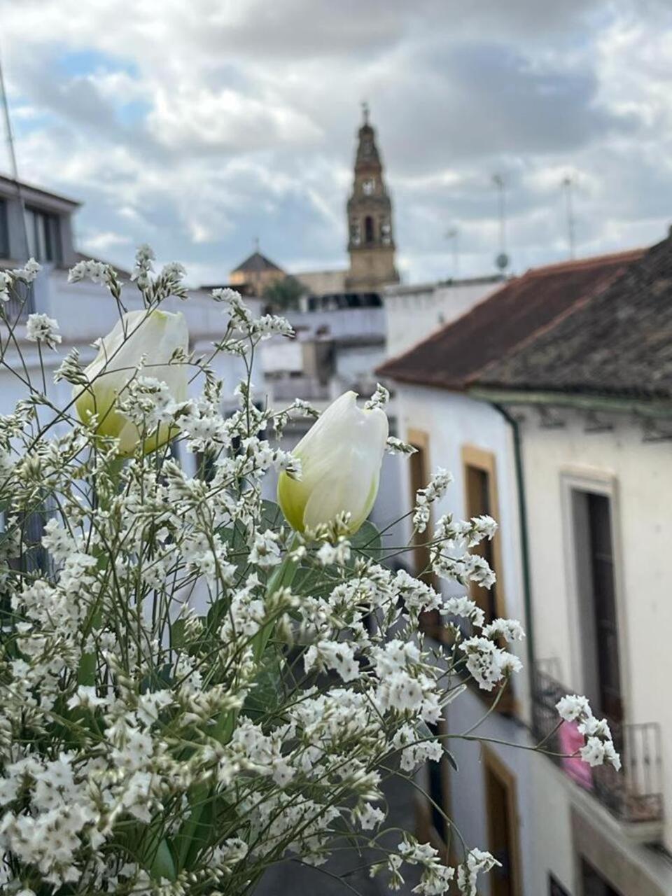 El Balcon De La Torre Leilighet Córdoba Eksteriør bilde